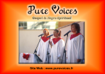 Pure Voices